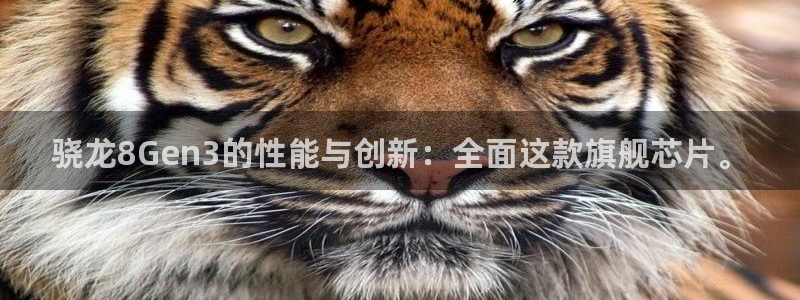 壹号app下载官网娱乐：骁龙8Gen3的性能与创新：全面这款旗舰芯片。