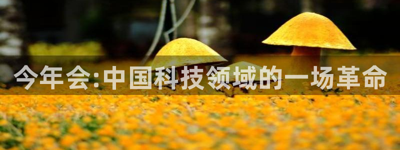 耀世娱乐下载：今年会:中国科技领域的一场革命