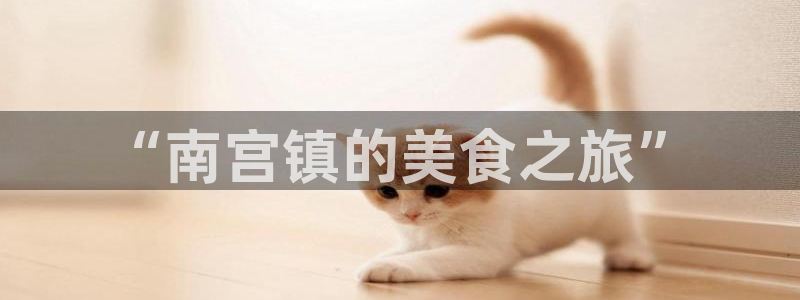 壹号国际app免费下载安装：“南宫镇的美食之旅”