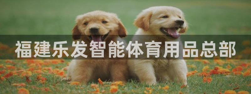 耀世娱乐com：福建乐发智能体育用品总部