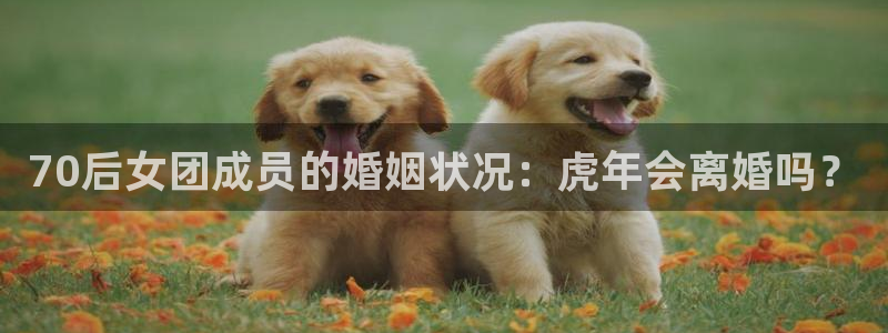 伟德国际集团 壹号(one game)：70后女团成员的婚姻状况：虎年会离婚吗？