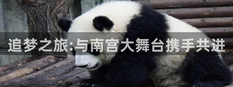 耀世娱乐.com：追梦之旅:与南宫大舞台携手共进