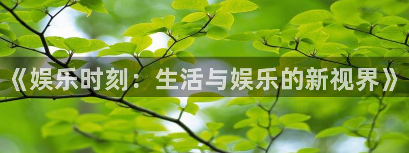 下载耀世娱乐app：《娱乐时刻：生活与娱乐的新视界》