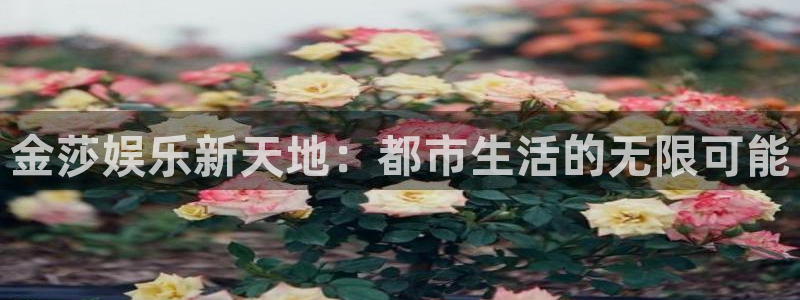 壹号大舞台娱乐传媒：金莎娱乐新天地：都市生活的无限可能