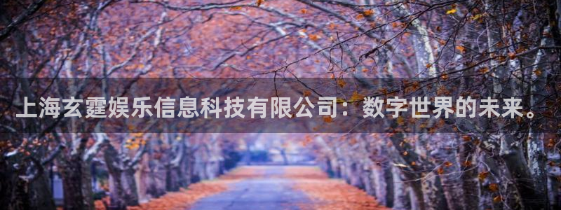 壹号电子娱乐app下载最新版本安装：上海玄霆娱乐信息科技有限公司：数字世界的未来。