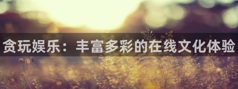 壹号下载官网入口：贪玩娱乐：丰富多彩的在线文化体验