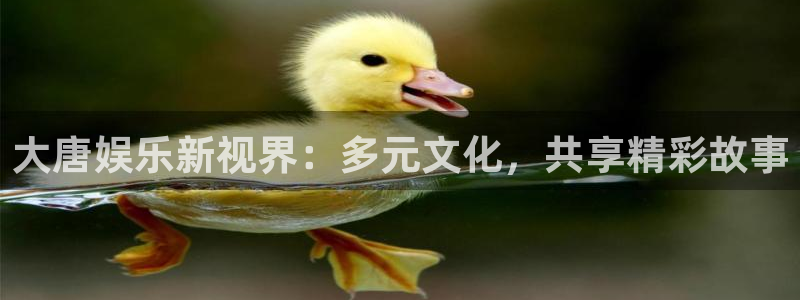 耀世娱乐app：大唐娱乐新视界：多元文化，共享精彩故事