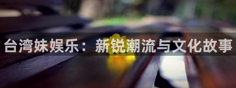 壹号电子娱乐app下载最新版本安装：台湾妹娱乐：新锐潮流与文化故事