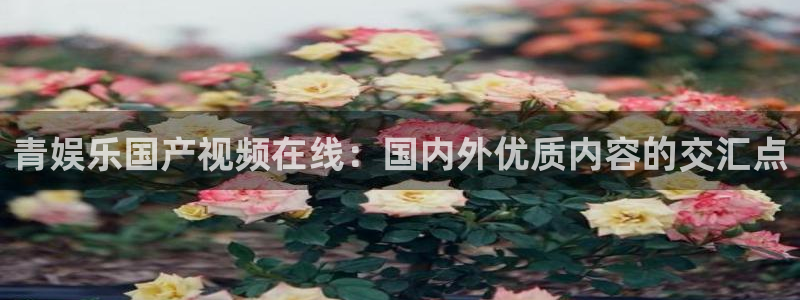 壹号大舞台：青娱乐国产视频在线：国内外优质内容的交汇点