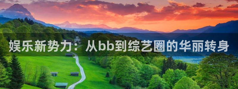 伟德国际集团 壹号(one game)：娱乐新势力：从bb到综艺圈的华丽转身