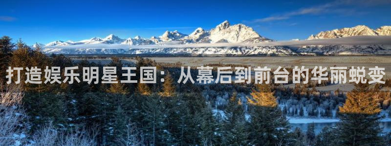 耀世娱乐,com：打造娱乐明星王国：从幕后到前台的华丽蜕变