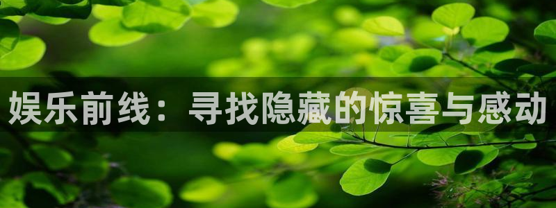 壹号下载安装：娱乐前线：寻找隐藏的惊喜与感动