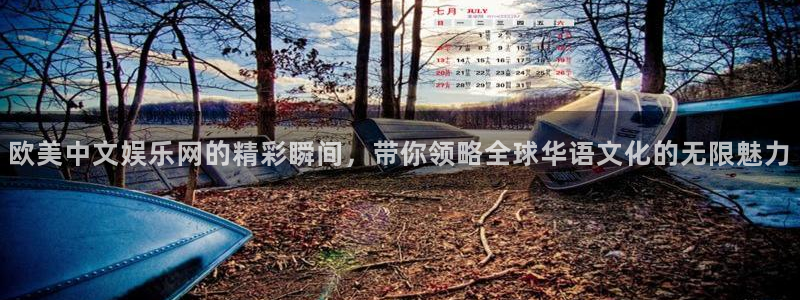 耀世娱乐退款怎么退：欧美中文娱乐网的精彩瞬间，带你领略全球华语文化的无限魅力