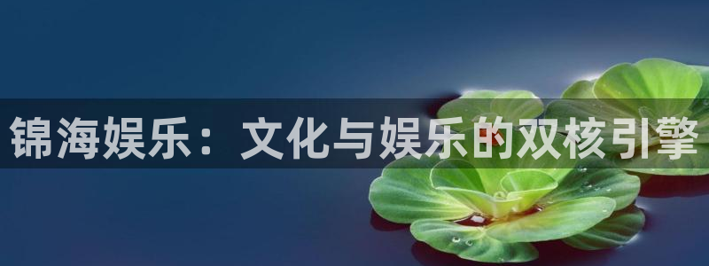 壹号大舞台怎么注册：锦海娱乐：文化与娱乐的双核引擎
