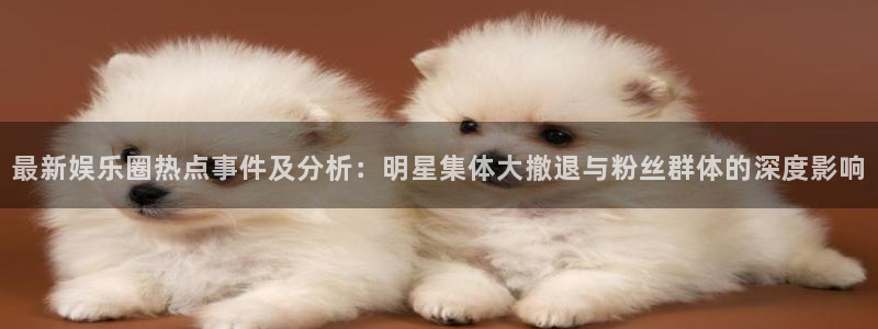 壹号电子娱乐app下载最新版本：最新娱乐圈热点事件及分析：明星集体大撤退与粉丝群体的深度影响